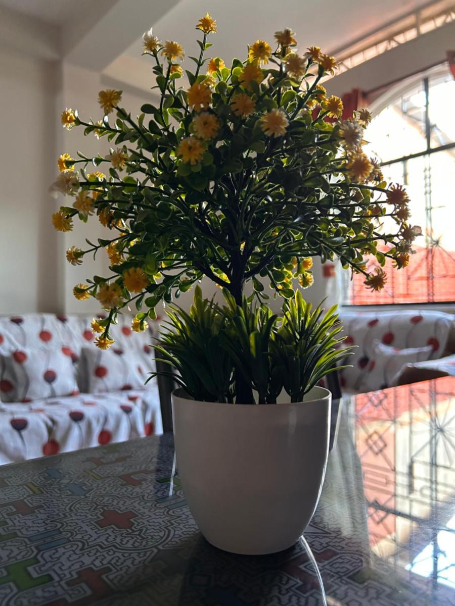 ALAMEDAS APARMENTs - Housity