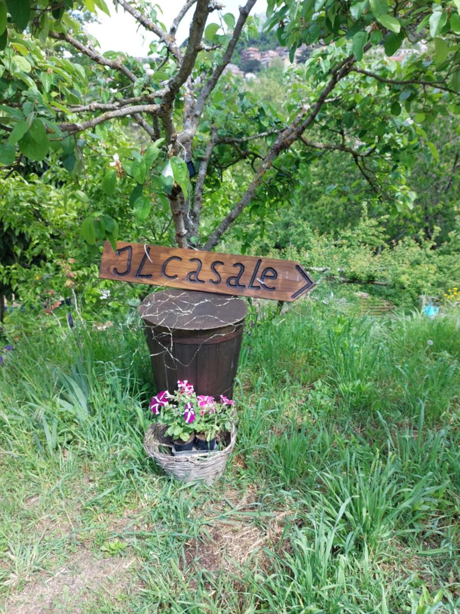 Il casale di Pino e Rita - Housity