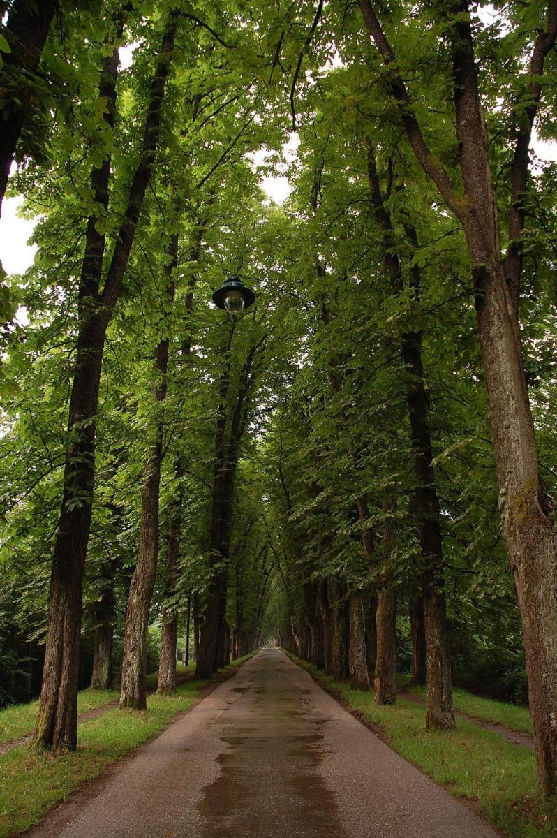 Suitetrails - Villa Velika Aleja