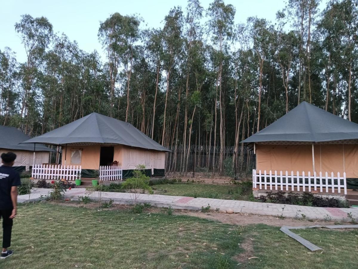 Pulastya Wellness Resort - Housity