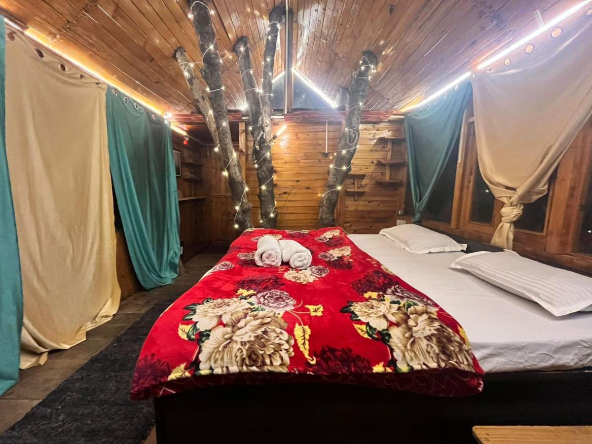 Authentic Tree House - Housity