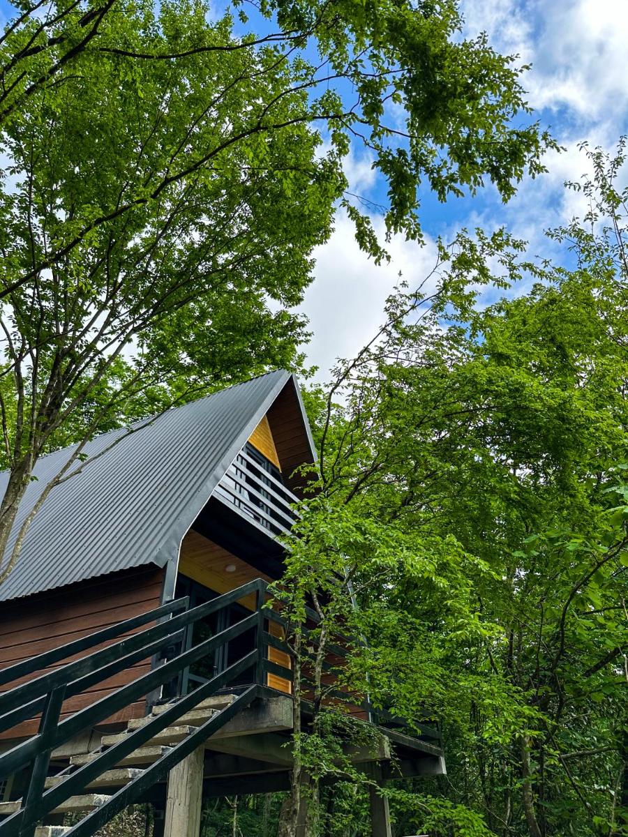 Martvili canyon cottage - Housity