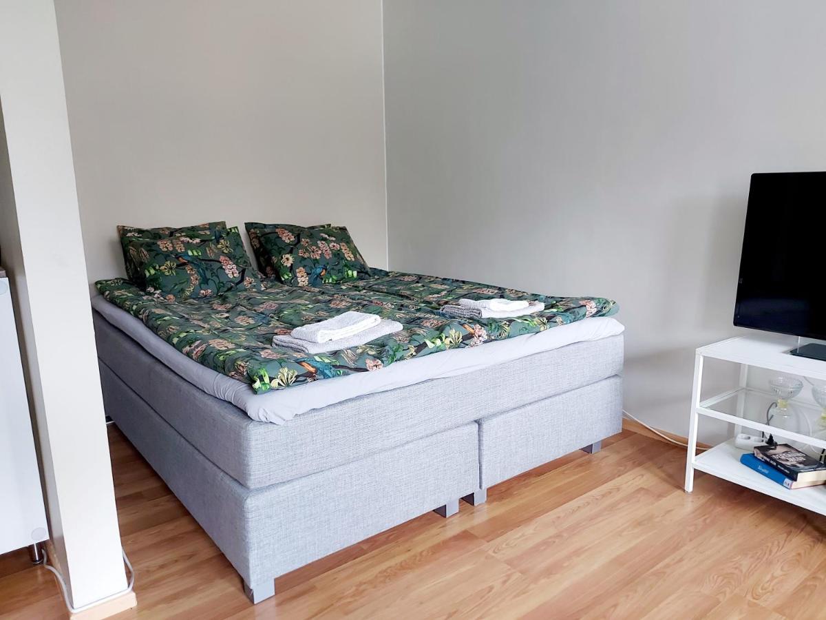 Spacious studio apartment near the center of Joensuu - Hizvo