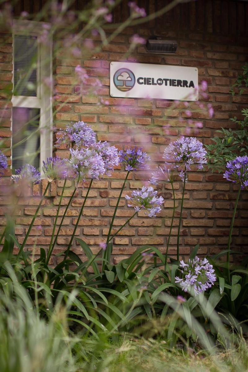 Cielo de Tierra - Housity