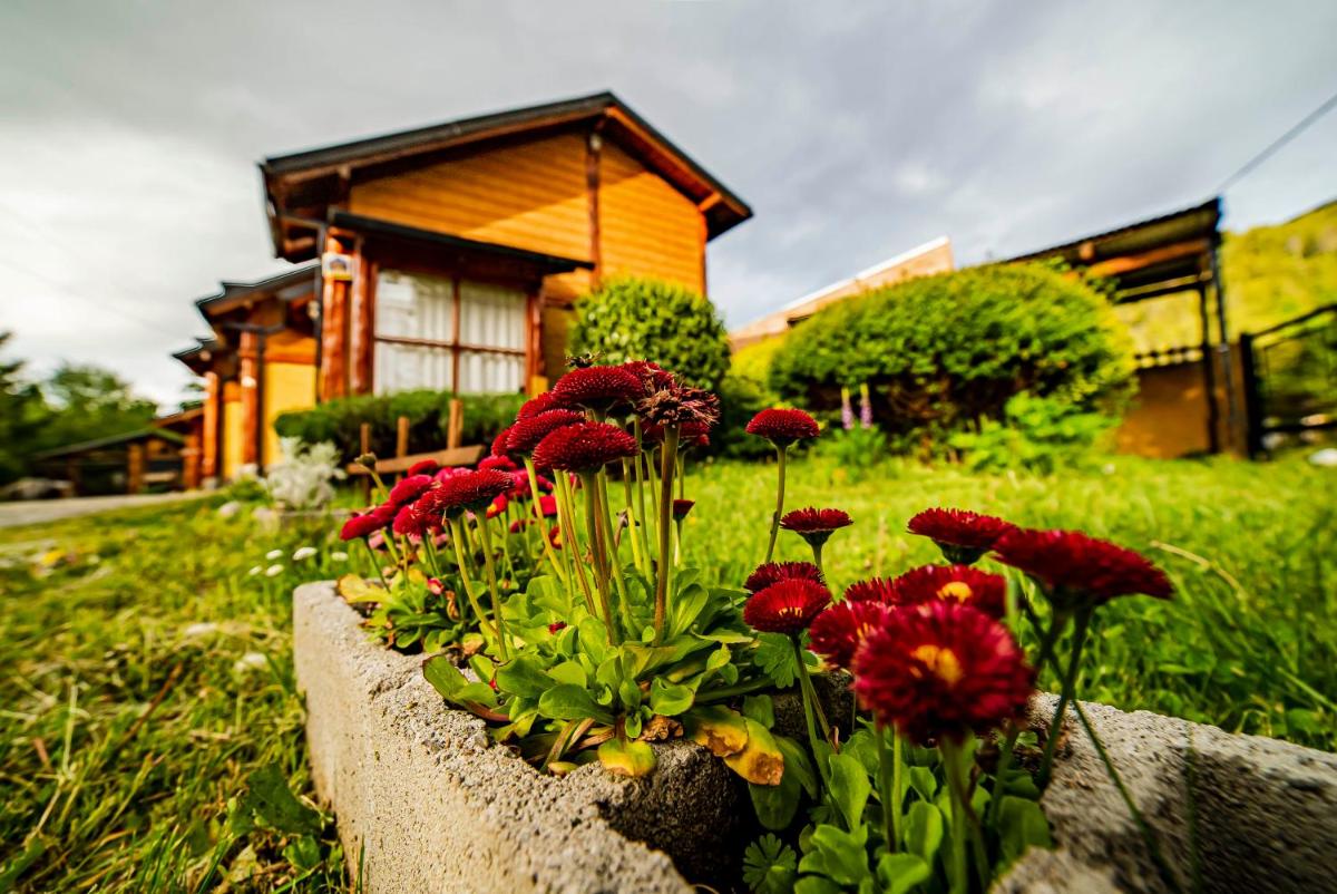 Cabañas Patagonia Rupestre - Housity
