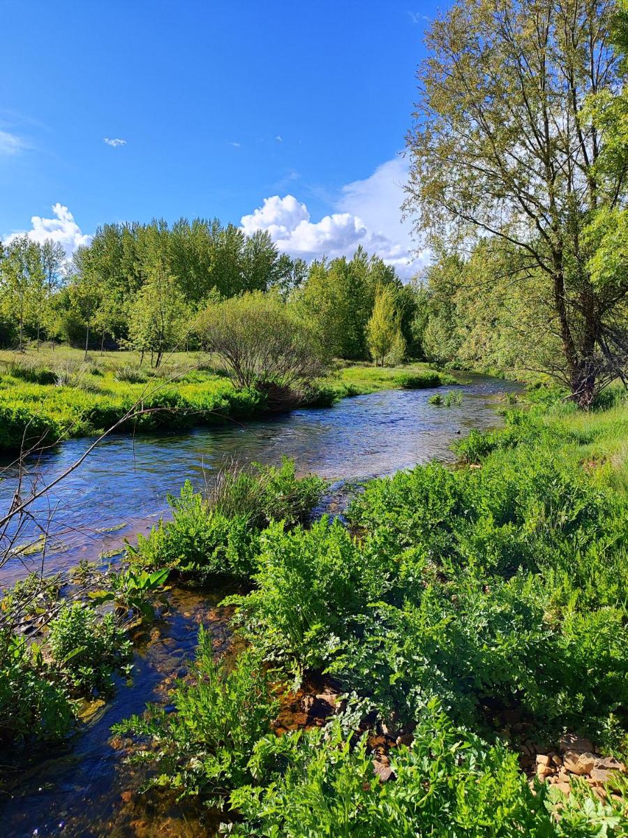 Apartamentos La Alborada Medieval - Housity