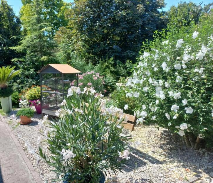 Gîte du Solnan - Housity