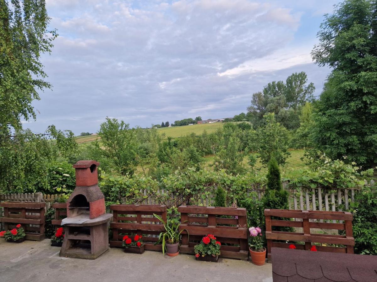 Domki pod Brzozą - Housity