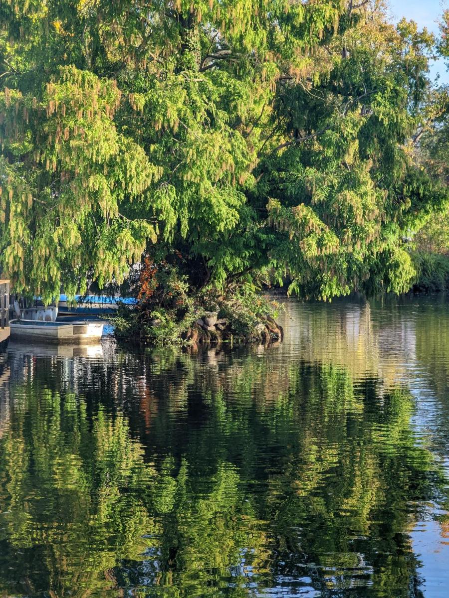 Tulana Taggs - floating home on idyllic island - Housity