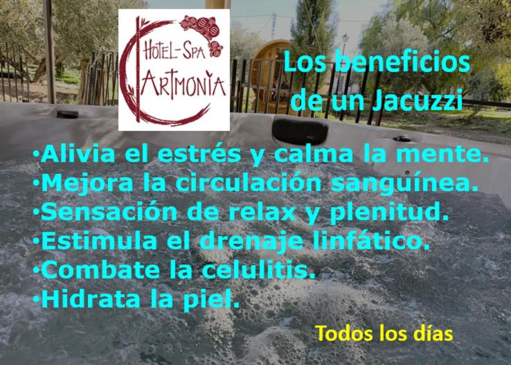 Certificado, premio, señal o documento que está expuesto en Artmonia