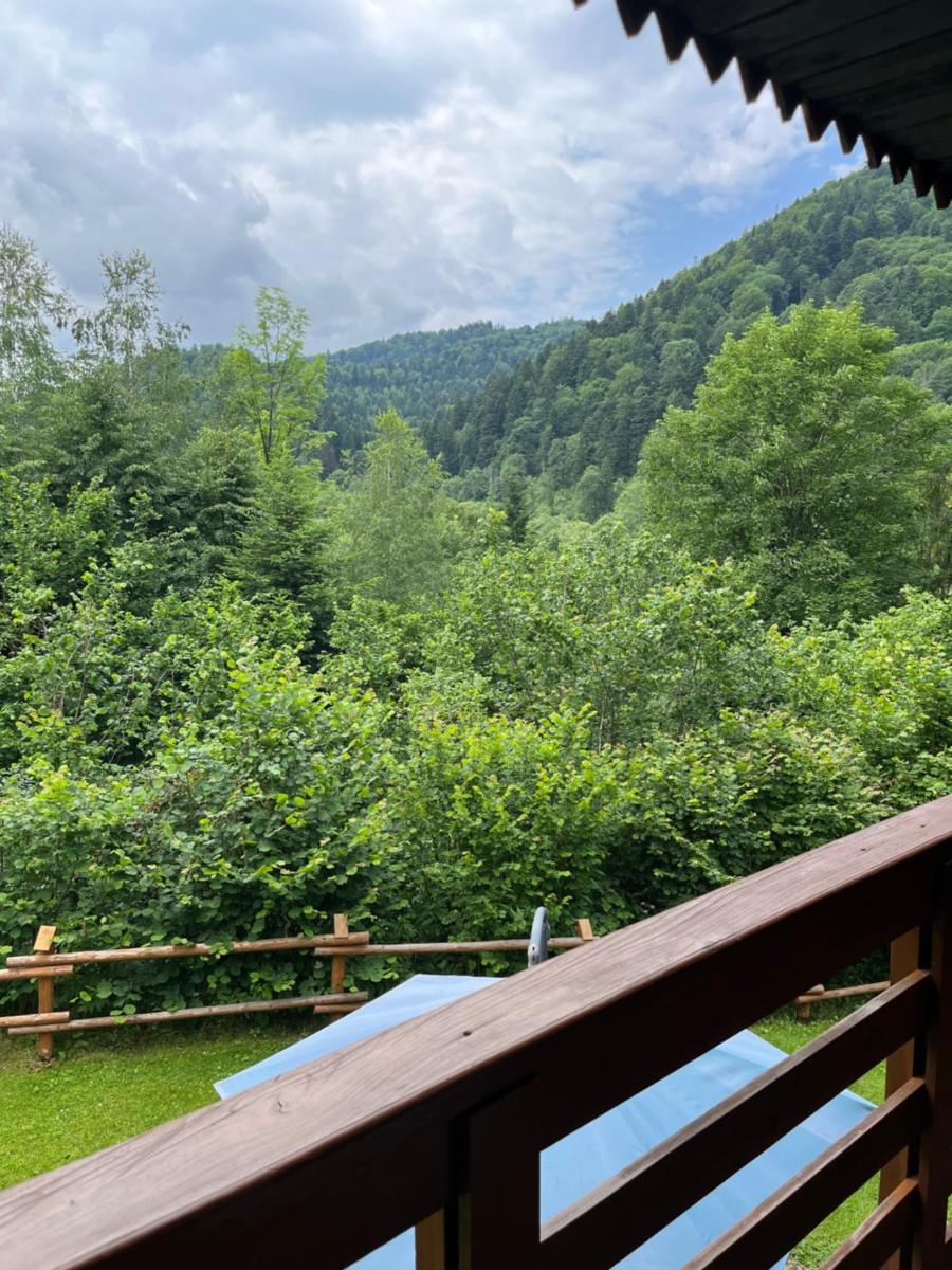 Chatka pod Świerkami - Housity