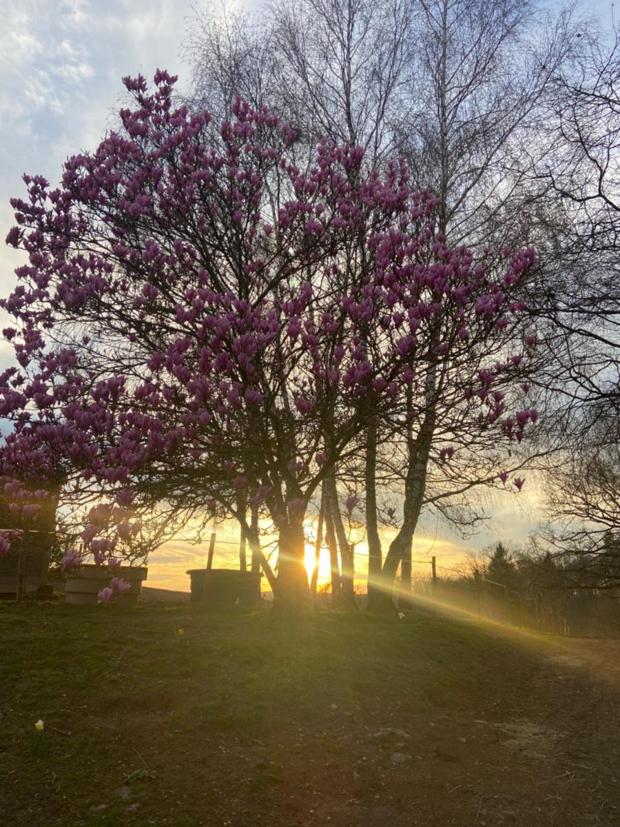 Domaine Abbey-Rose - Housity