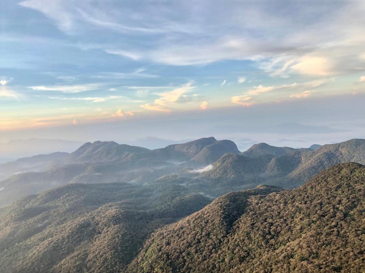 Hotel mango tree nearest Adam's peak - Housity