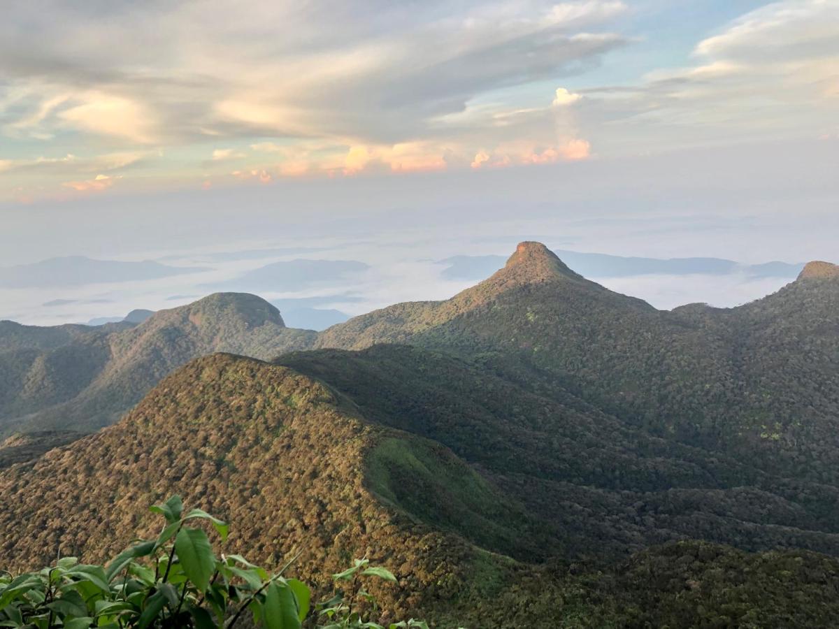 Hotel mango tree nearest Adam's peak - Housity