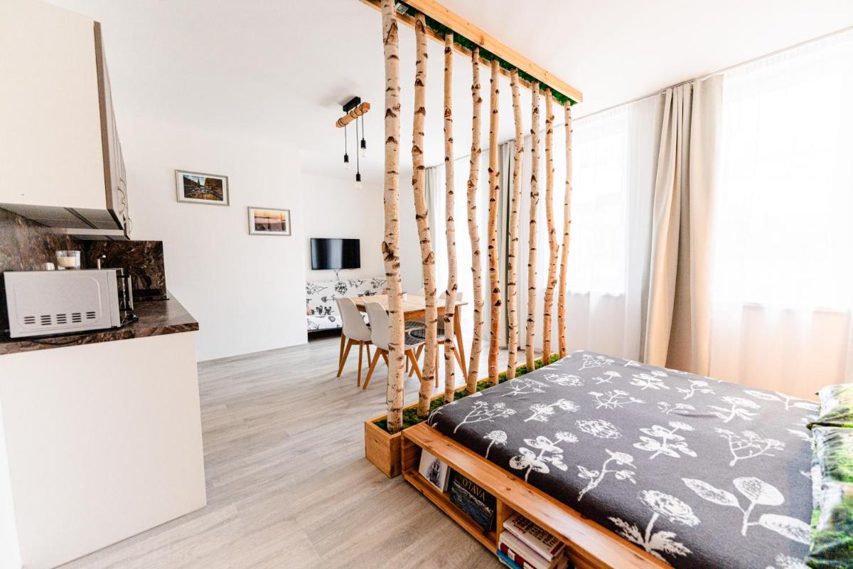 Apartmán v centru Železné Rudy se zahrádkou - Housity