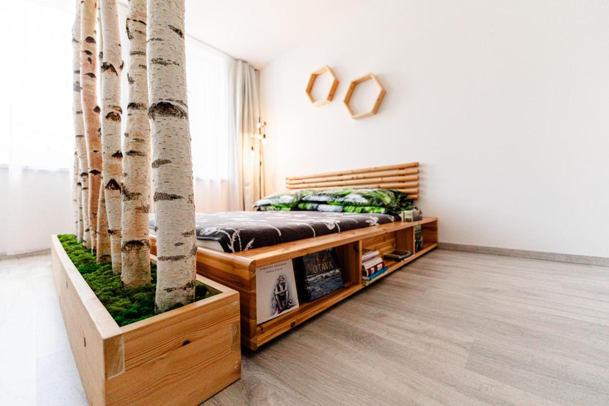 Apartmán v centru Železné Rudy se zahrádkou - Housity