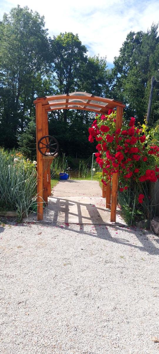 Bacio-Bacio Apartamenty - Housity