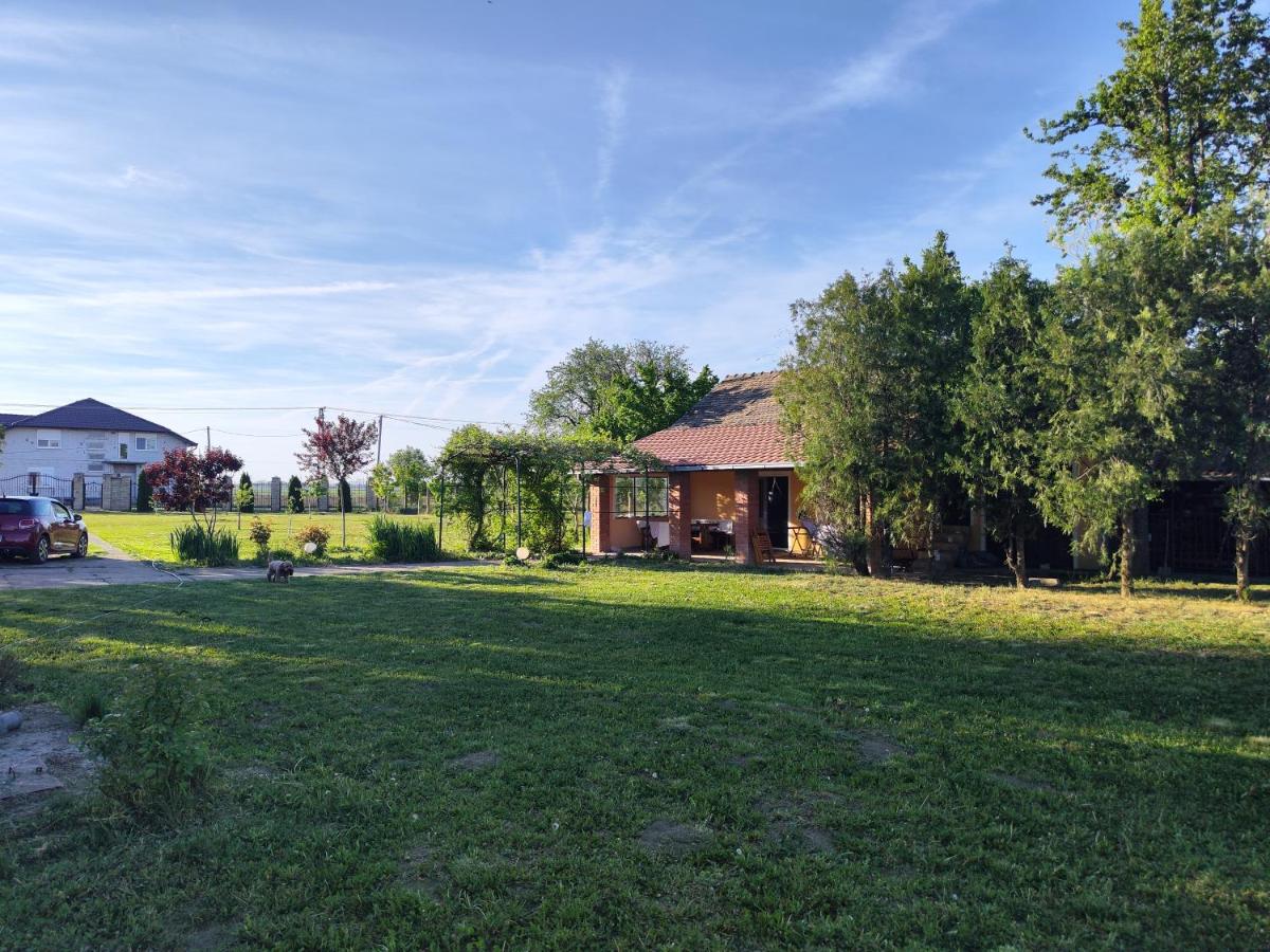 Well-located rural house on a spacious fenced lot - Housity