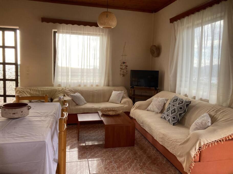 Sparrow’s house - Housity