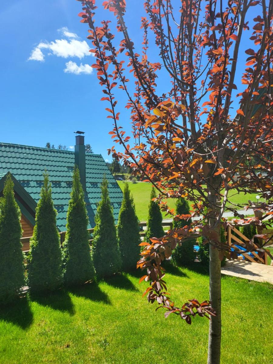 Zlatar Luxury Chalet - TRACE OF NATURE 2214 - Housity