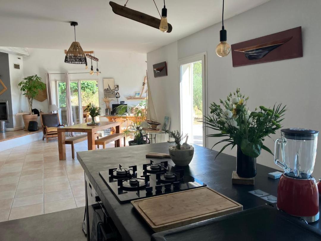 Maison entre vignes et piscine à 5 mn des plages ! - Housity