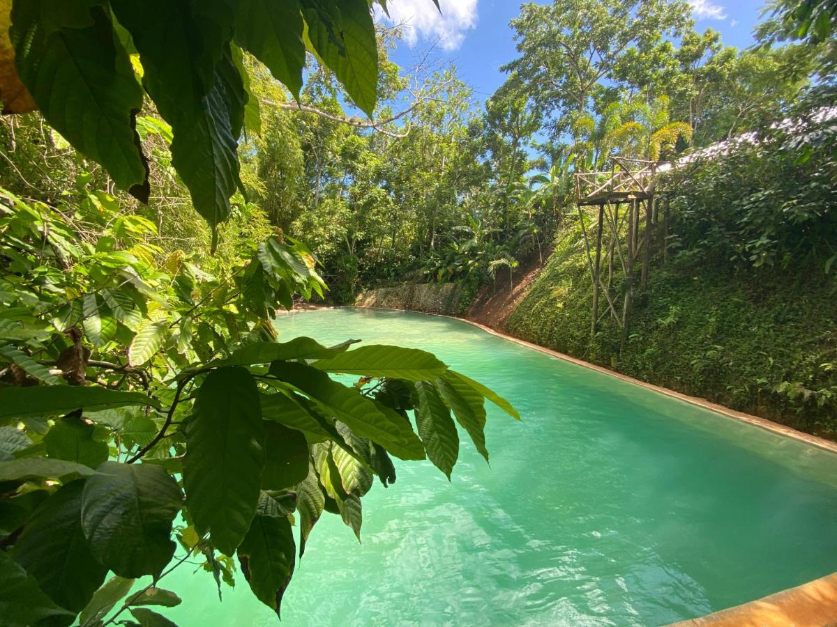 Tropical Samana - Housity
