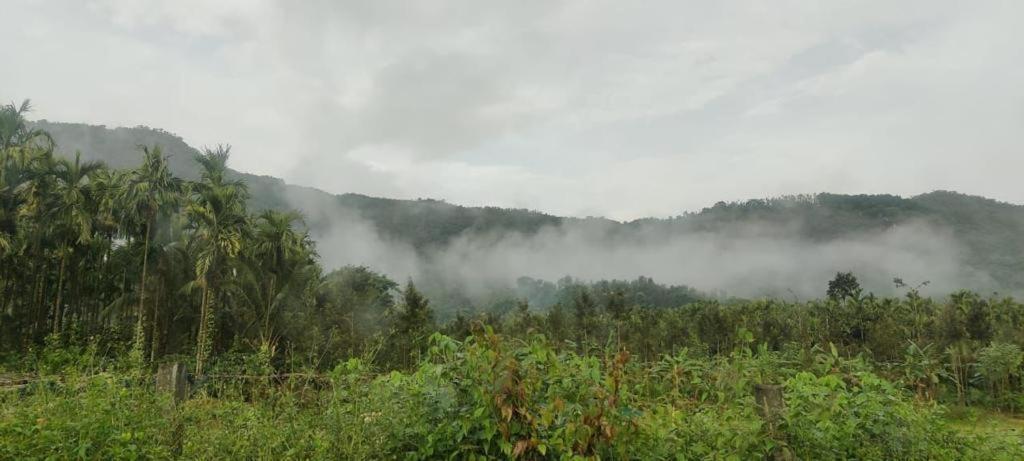 Nature Stay - with pool and private waterfall - Housity