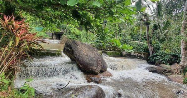 Nature Stay - with pool and private waterfall - Housity
