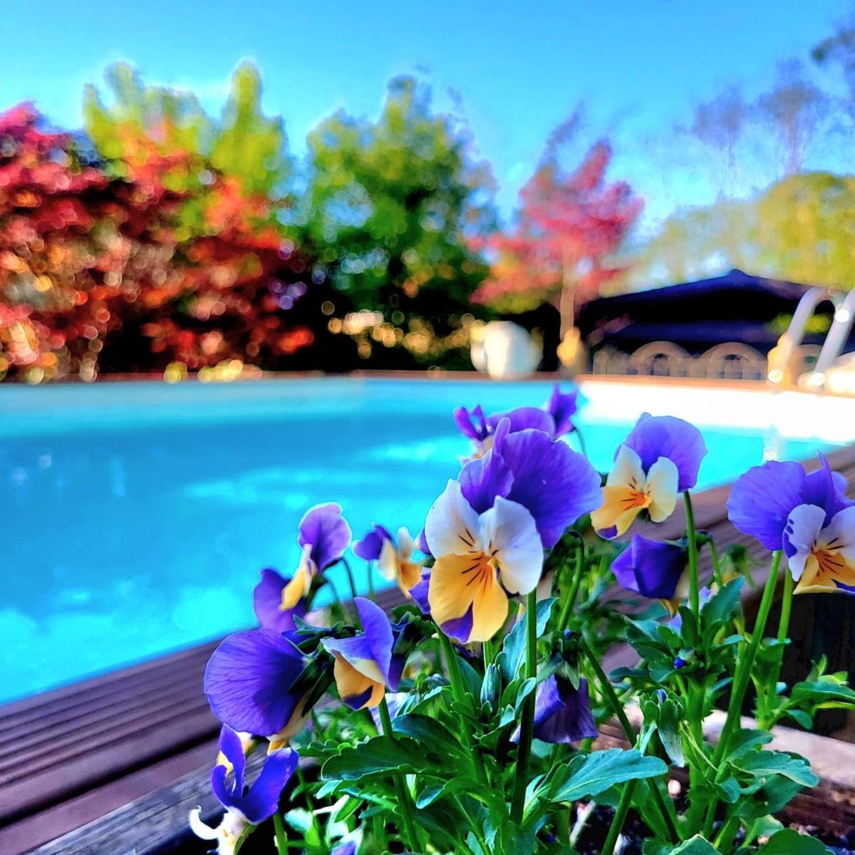 B&B Relais Cascina al Campaccio - Housity