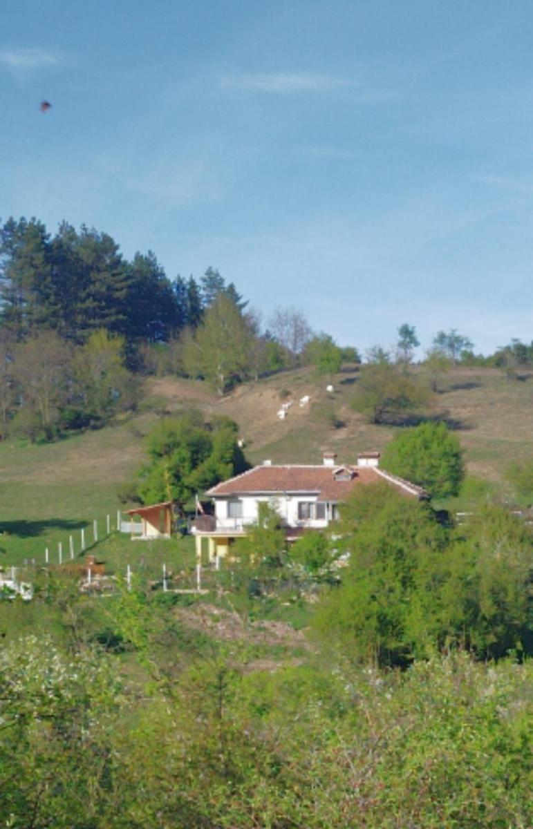 Стаи за гости Шейтанови - Housity
