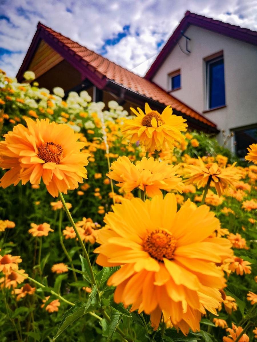 Linowo 10 Country House - Housity