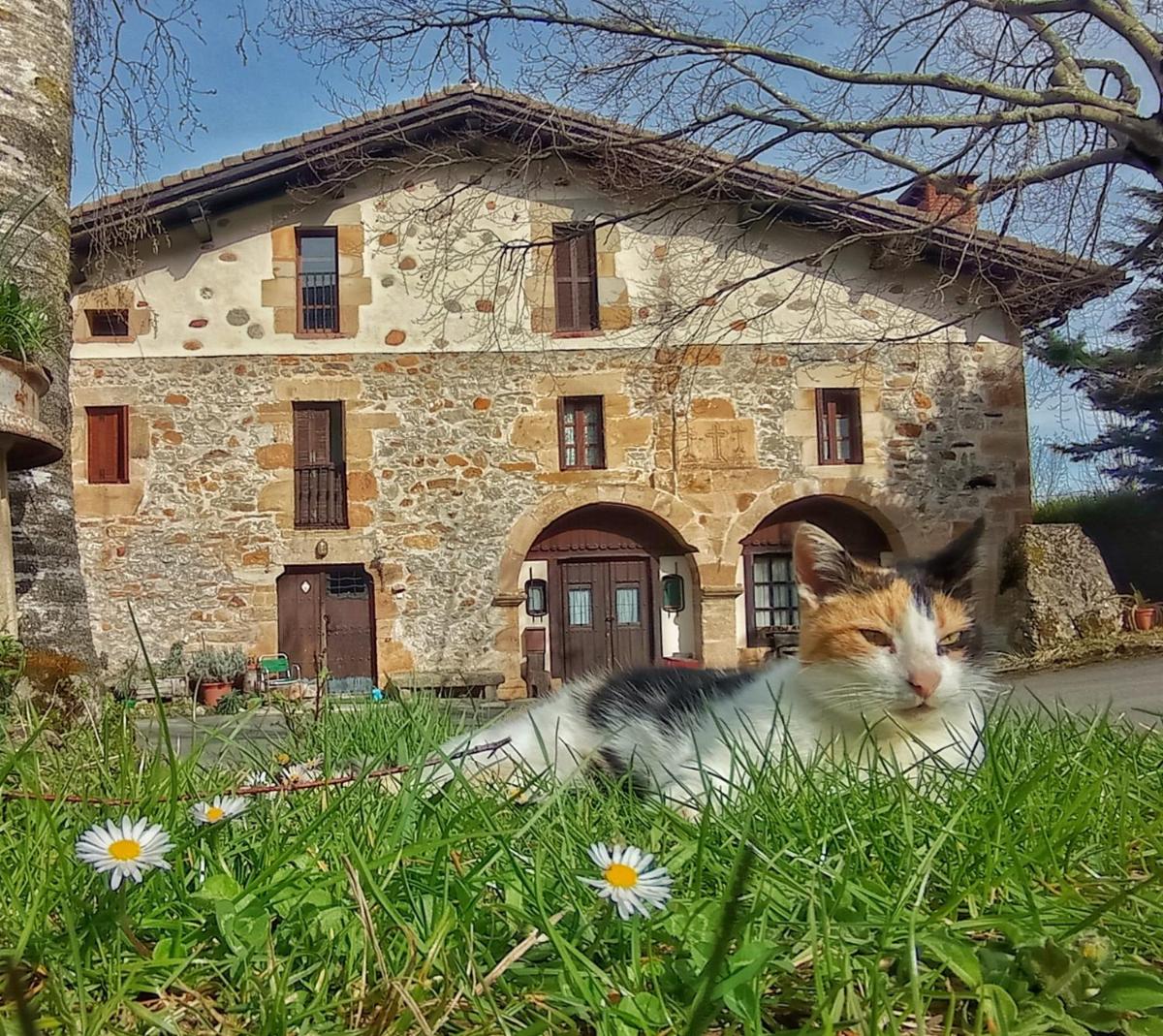 Casa Rural Areano - Housity