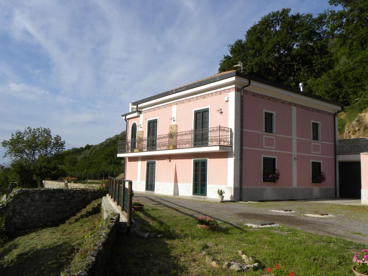 Guest House Cifrino - Housity