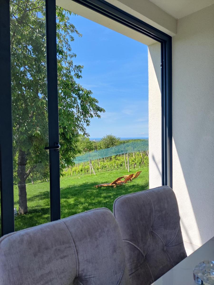 Kuća za odmor Villa Cesarica - Zagreb - Housity
