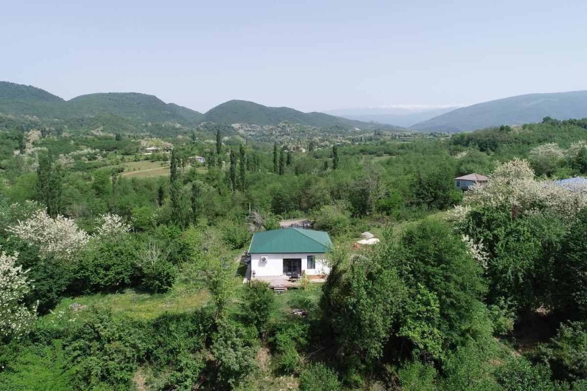 Renovated 3-bedroom House in Nature - Iskia Estate - Housity