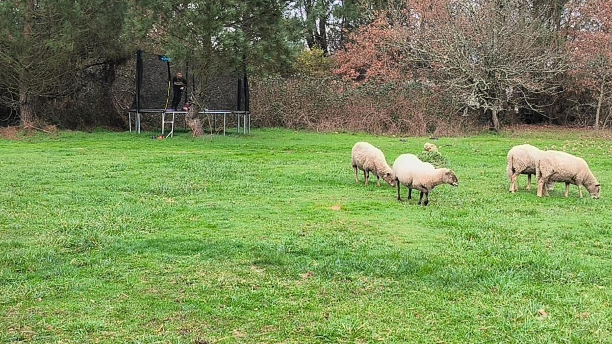 Domaine de La Sarrotte - Housity