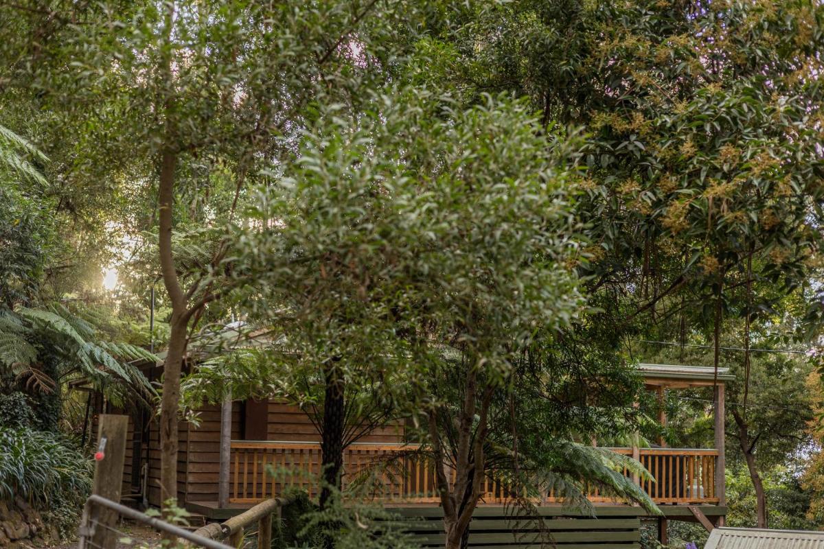 Fern House - Housity