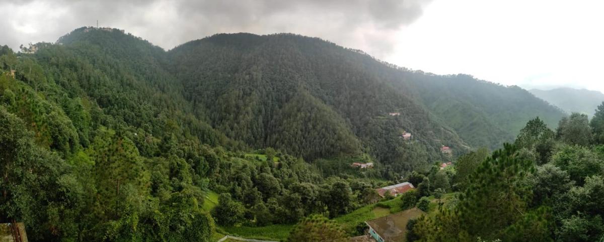 Suitetrails - Chadwick valley view Home Stay Shimla