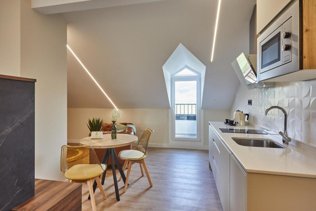 Una cocina o zona de cocina en Apartamentos Silken Fontibre Iberia & Spa