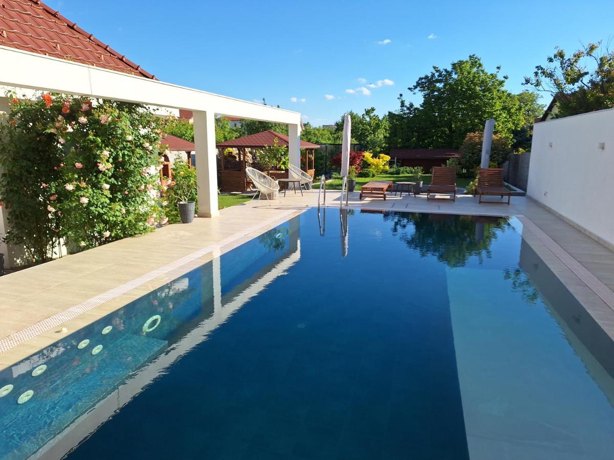 TREND - cazare, gradina, piscina - Housity