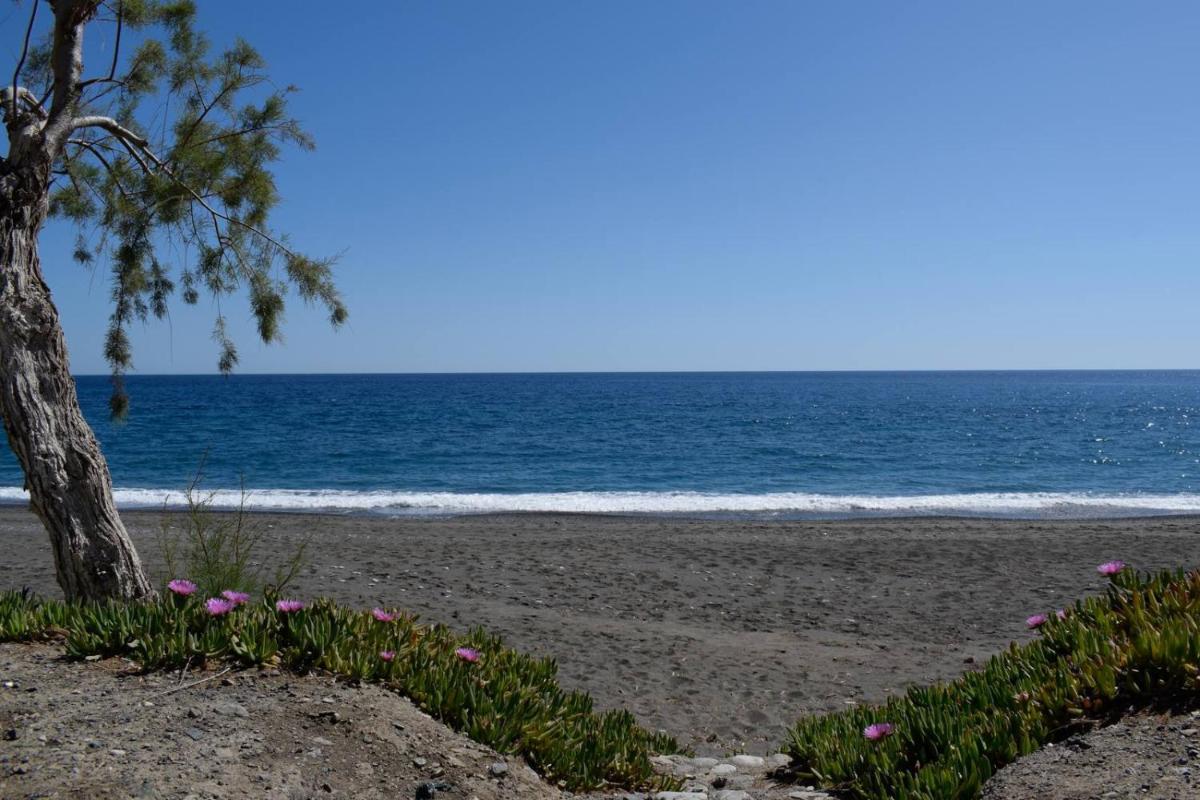 Soso's Apartments -Vacations Next to the Beach - Housity