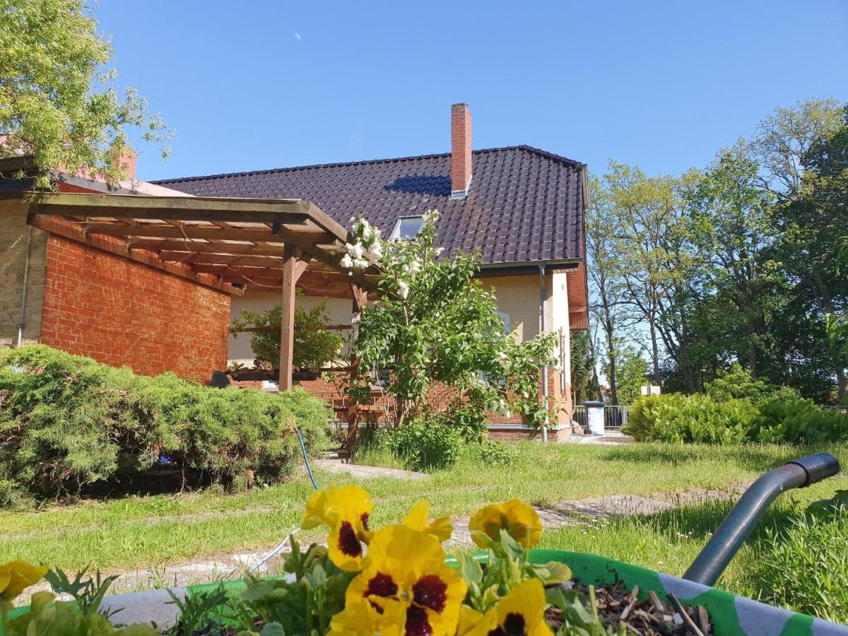 Geräumiges und liebevoll eingerichtetes Ferienhaus für bis zu zehn Personen mit Terrasse und Grill im Garten - Housity