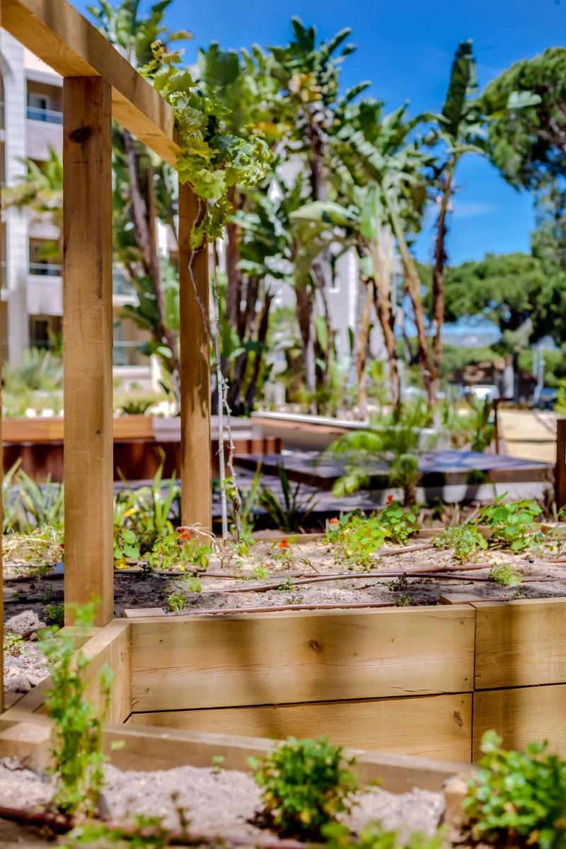 Um jardim no exterior de Falésia Hotel - Adults Only