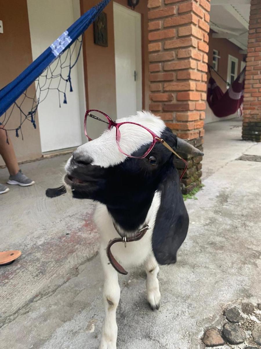 Pousada Ecológica Cavalo de Pedra - Housity