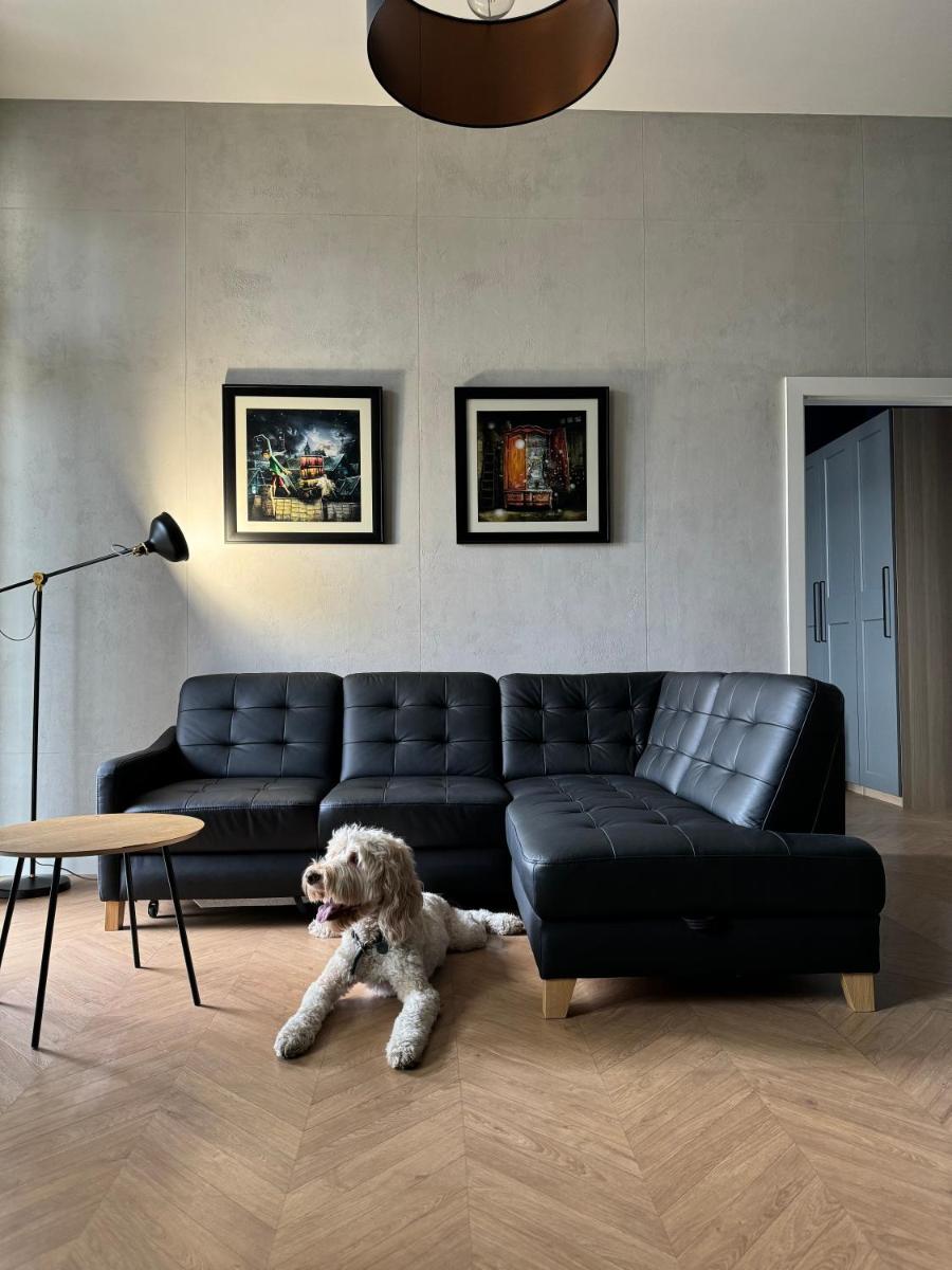 Apartamenty Lemon Pepper - Hizvo