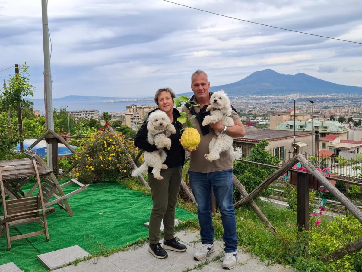B&B il limoneto - Housity