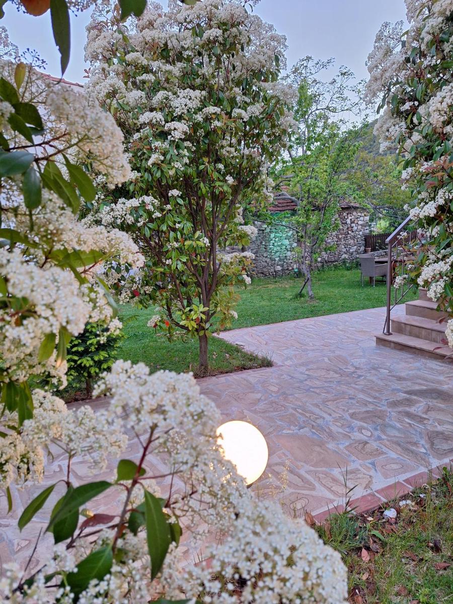 Country House on Mount Olympus - Housity