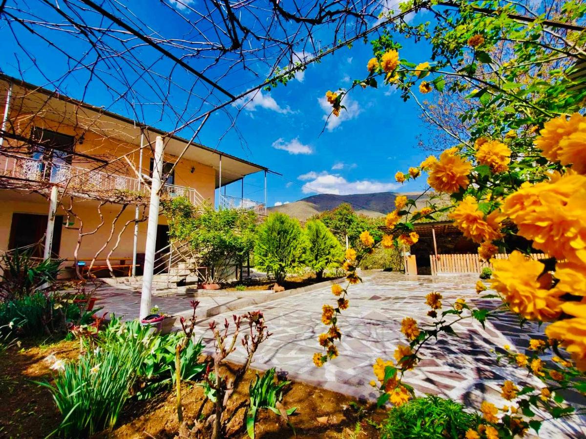 Guesthouse Mtkvari - Housity