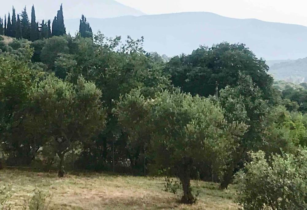 Villa tonia - Housity