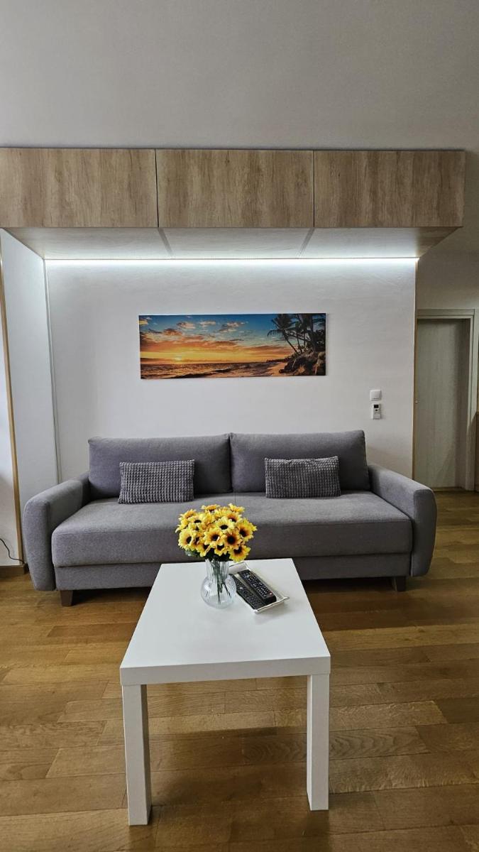 Porodicno-poslovni udoban stan - Housity